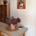Apartment Karin Oasis 1