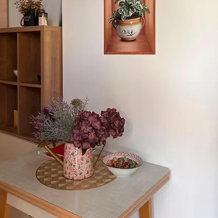 Appartement Karin Oasis 1